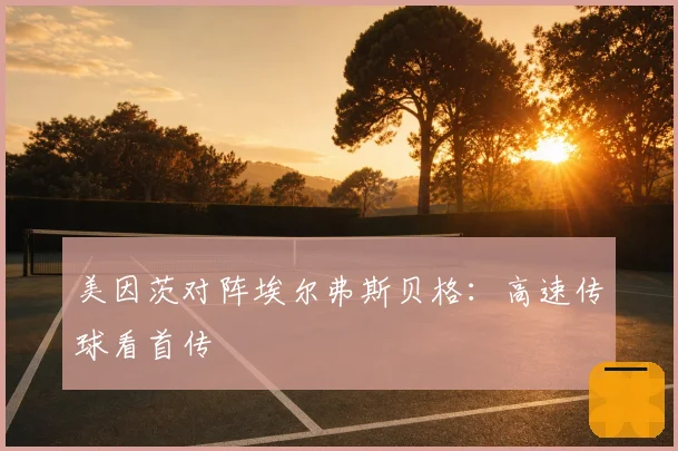 美因茨对阵埃尔弗斯贝格：高速传球看首传